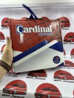 دیسک ترمز سوراخ دار جلو 206 تیپ 2 و 3 (جفت) کاردینال cardinal - Image 2