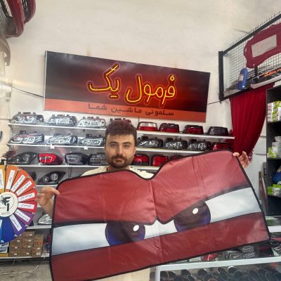 پرده افتابگیر شیشه جلو طرح دار