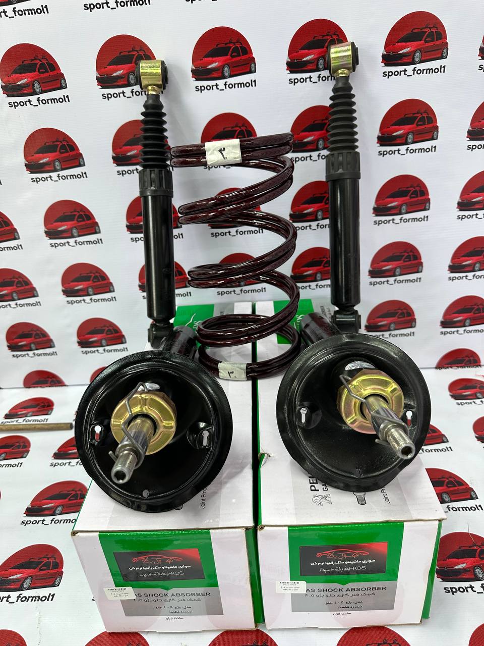 photo_1_2025-07-20_10-32-51 ست کامل کمک kds و فنر لنزو ۳۰ پژو - Image 1