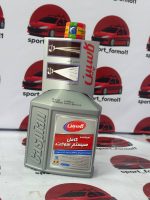 تمیزکننده کامل سیستم سوخت کاسپین - Image 3